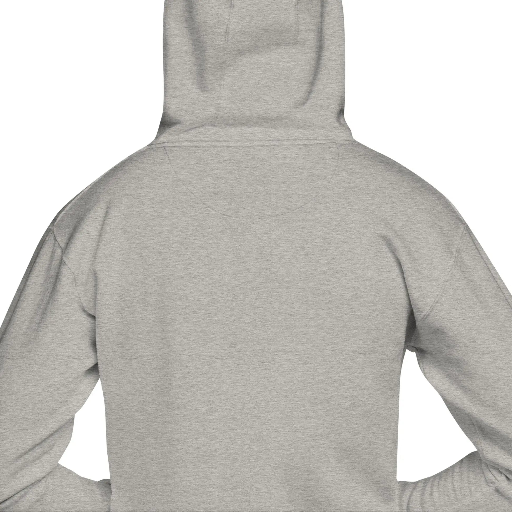 Unisex Pullover Hoodie (the astral body)