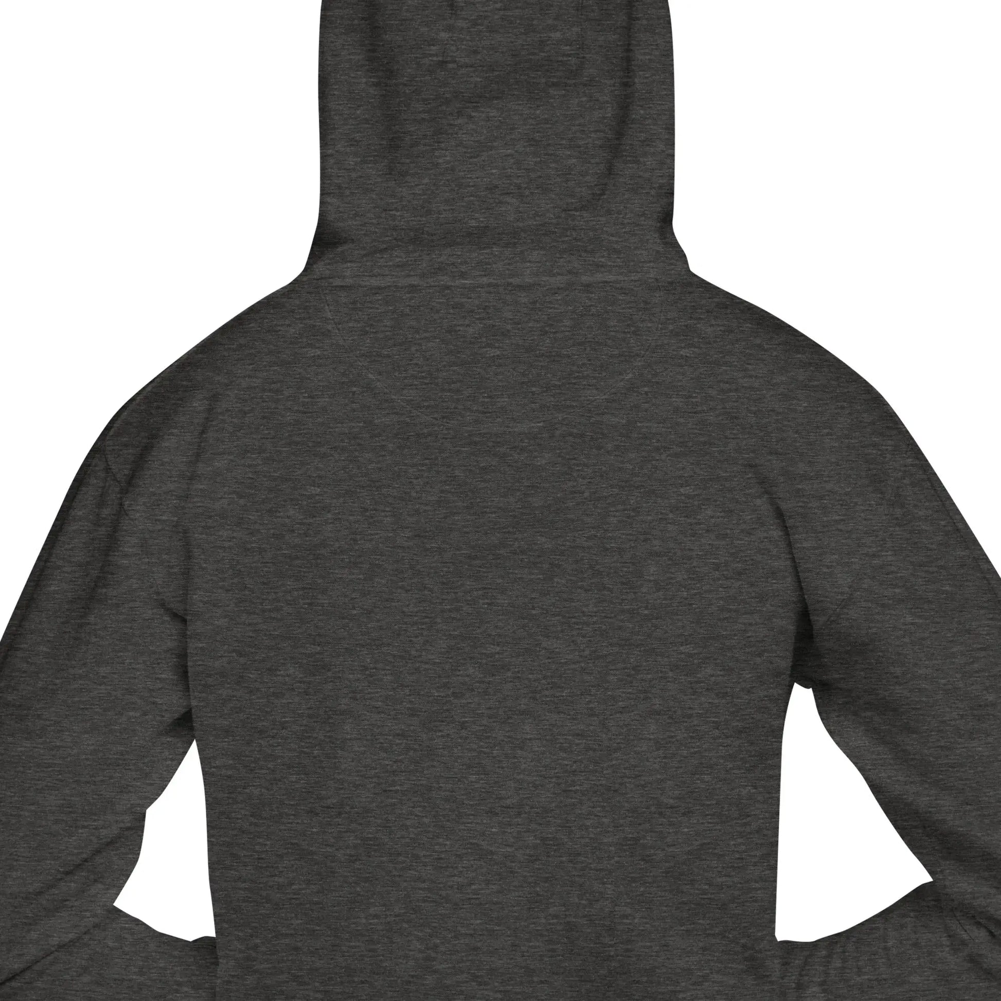 Unisex Pullover Hoodie (the astral body)