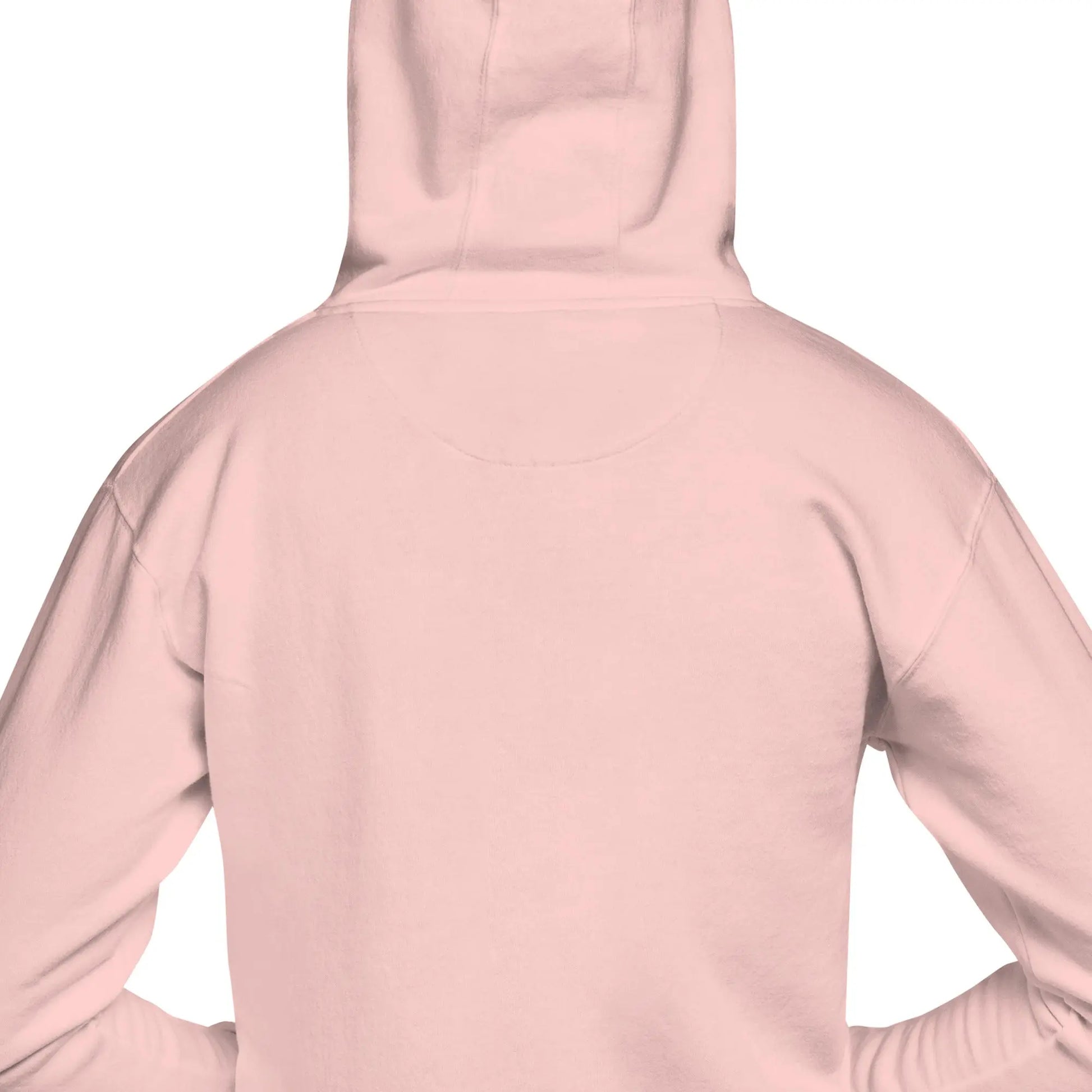 Unisex Pullover Hoodie (the astral body)